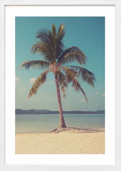 Vintage Single Palm